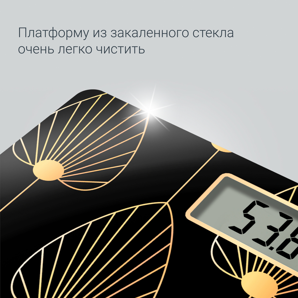 Напольные весы Rowenta Premiss BS1438V0