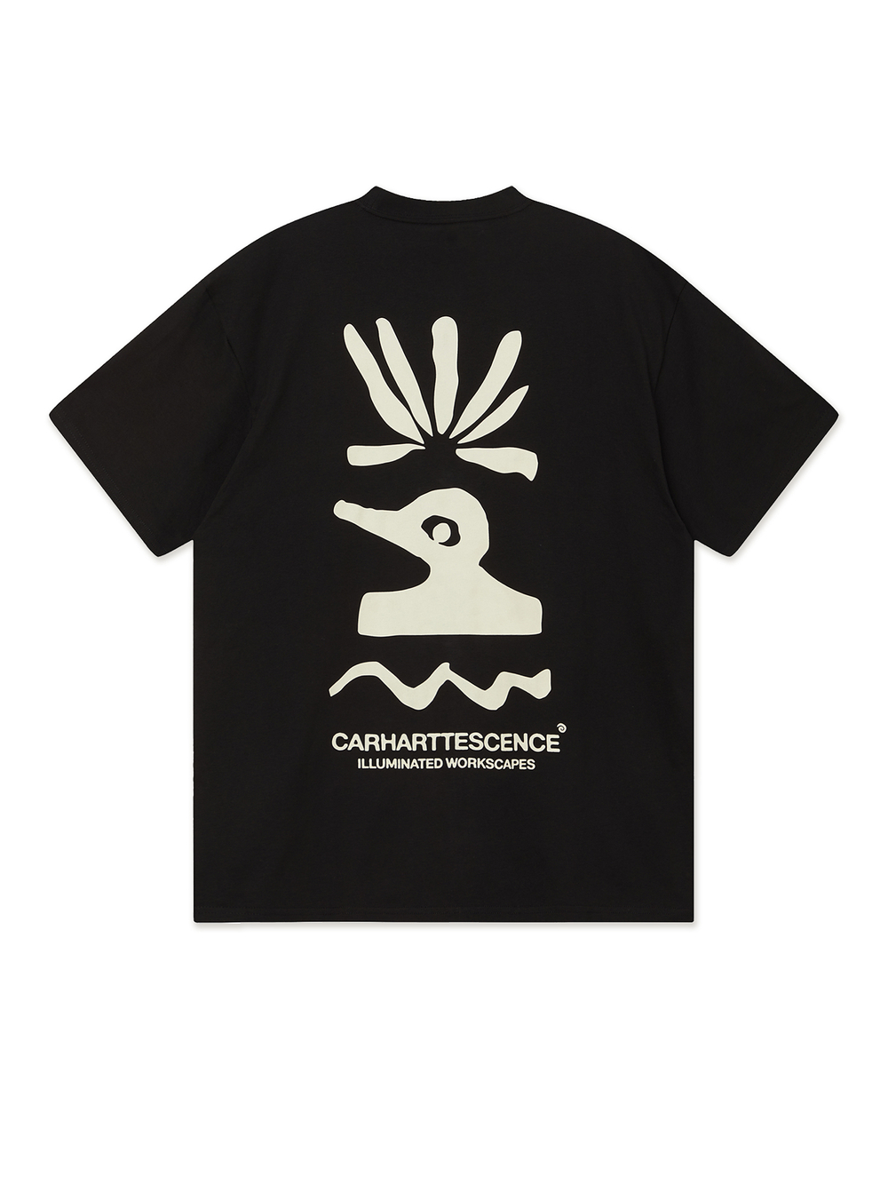 Мужская Футболка Compy