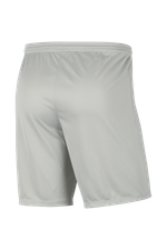 Шорты Nike Dry Park III