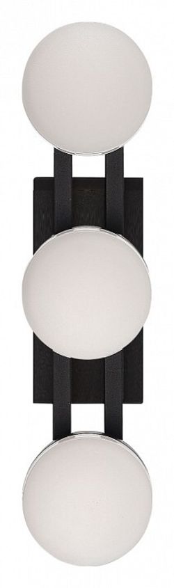 Накладной светильник ST-Luce MONRO SL6610.401.03