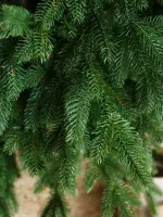 Искусственная ель «Берген» (Литая хвоя) 210 см / 2.1 м