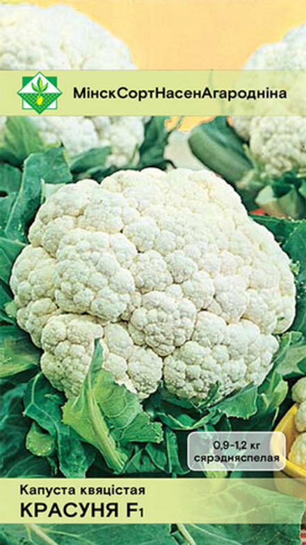 Капуста цветная "Красавица F1" 10шт, Германия.