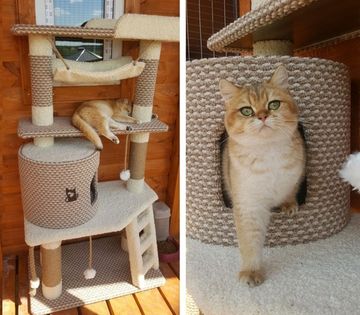 ЗАЧЕМ КОШКЕ ИГРОВОЙ КОМПЛЕКС?