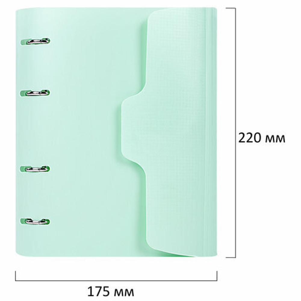Тетрадь на кольцах А5 175х220мм, 120л, пластик, на липучке с разделителями, BRAUBERG, Мятный,404638