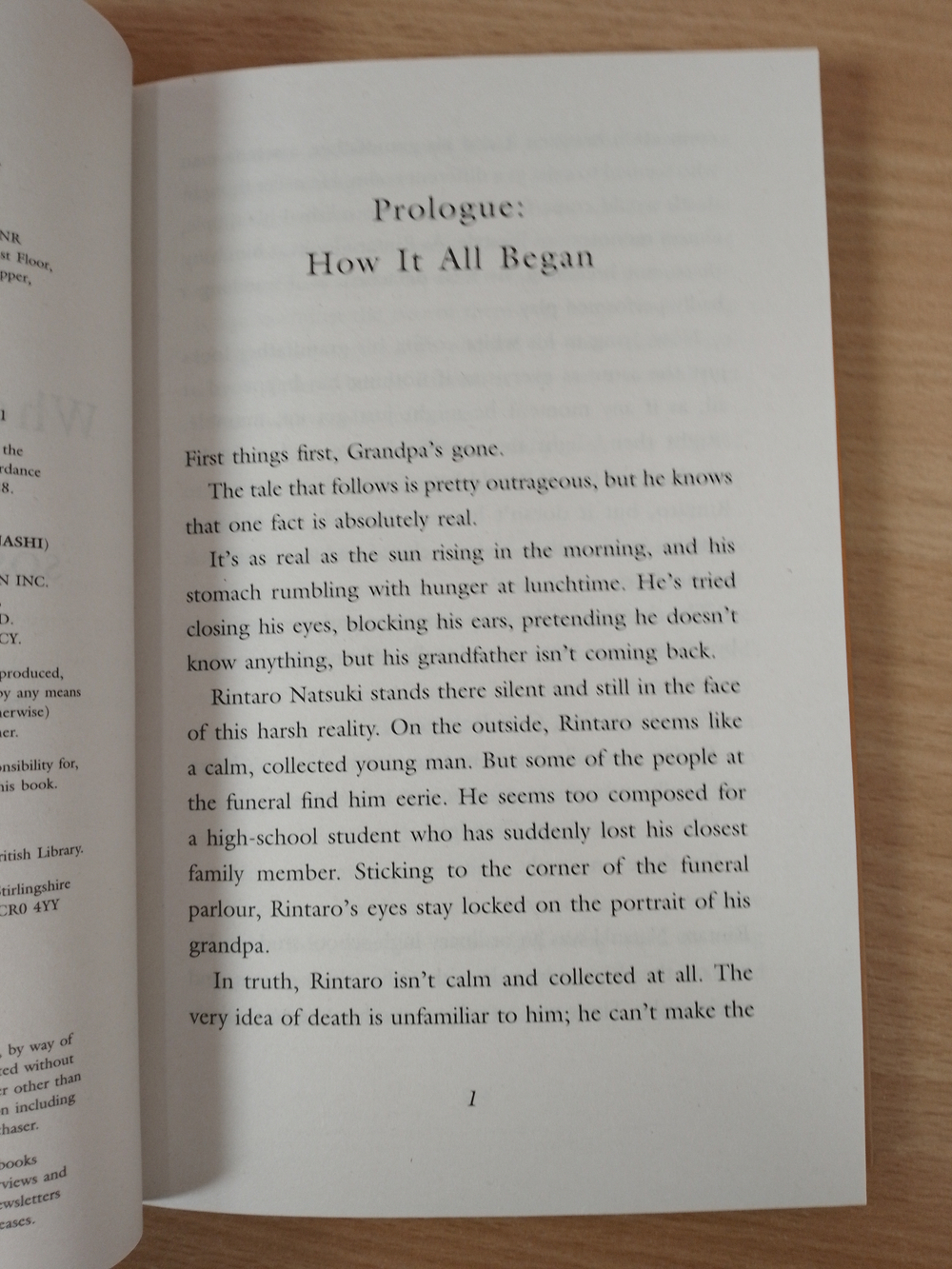 The Cat Who Saved Books