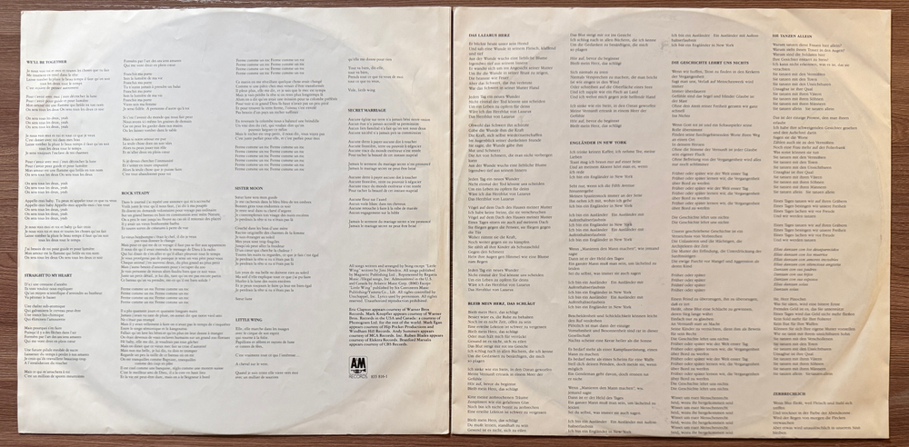 Sting - Nothing Like The Sun 2LP (Германия 1987г.)