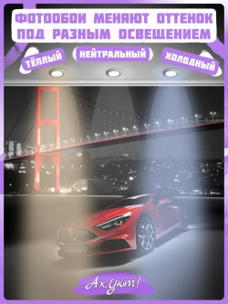 3D Фотообои красная машина и ночной город