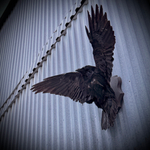 Чучело ворона