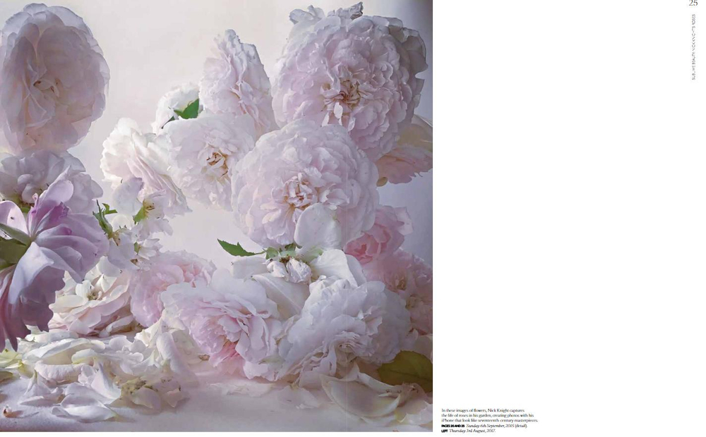 Dior in Bloom