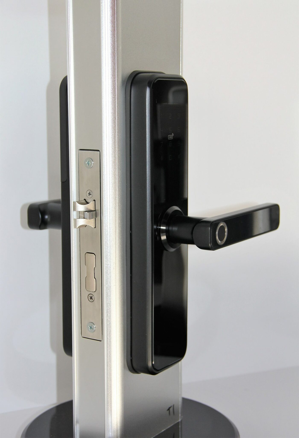 Умный замок SafeEnvir SF-X2-TUYA (black)  на двери