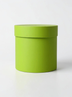 Плотная шляпная коробка с крышкой без лент. Цвет; Зеленый.