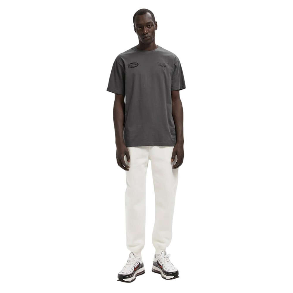 Баскетбольная джерси Mitchell&Ness NBA Player Retro Photo Chicago Bulls Dennis Rodman Gray T-Shirt