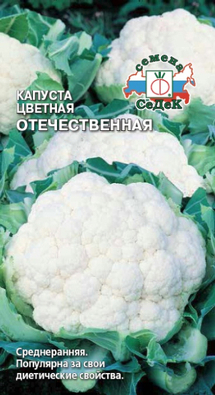 капуста Отечественная