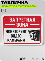 Табличка для частной территории "Запретная зона, мониторинг видеокамерами", на дом, для участка, организаций и частных территорий, предупреждающая, 40х30 см, Silver Plane x Айдентика Технолоджи