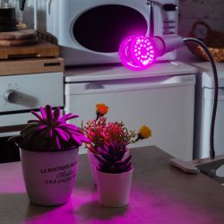 LED-A60-15W-SPSB-E27-CL PLP30WH Лампа светодиодная для растений. Форма A. прозрачная. Спектр для рассады и цветения. Картон. ТМ Uniel