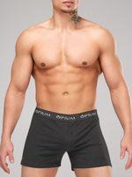 Мужские трусы-шорты с пуговицами (Размер: L) (Цвет: серый)