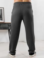 Брюки мужские Акс Виотекс ГРАФИТОВЫЙ