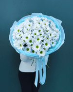 Кустовая хризантема Ромашка,9шт(00446)