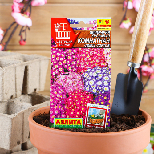 СЕМЕНА ЦИНЕРАРИЯ КОМНАТНАЯ СМЕСЬ,  АЭЛИТА 0,02Г