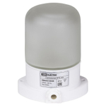 Светильник настенно-потолочный для сауны TDM НПБ400 IP54 60Вт