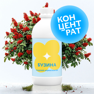 Бузина (Концентрат)