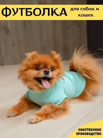 Футболка для собак мелких средних пород и кошек