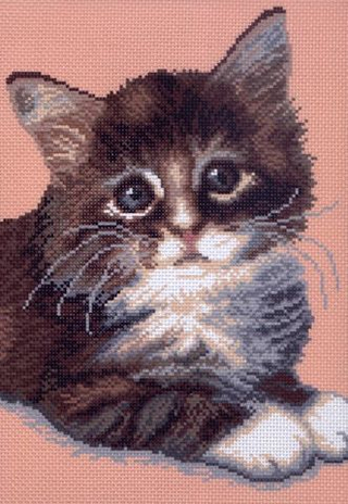 "Кот Борис"-0395 канва с рисунком