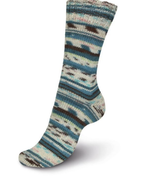 Носочная пряжа Schachenmayr Regia 4-fadig 100g /Регия 4 нитки 100г/75% шерсть, 25% полиамид