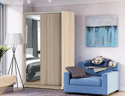 Шкаф-купе Стоун Зеркало 2-дверный