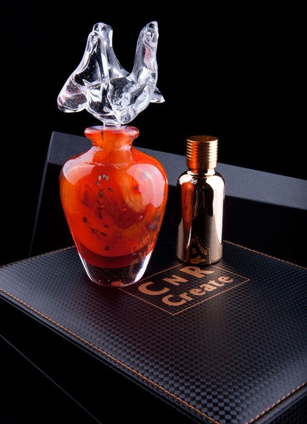 CnR Create Fire Aries