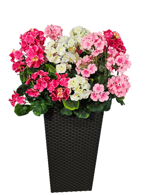 Герань 3 цвета 80см в высоком коричневом кашпо ротанг 51см