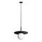 Подвесной светильник Loft IT Ufo 10120/250P Black