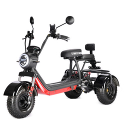 Электротрицикл WHITE SIBERIA TRIKE MINI BLACK 1500W