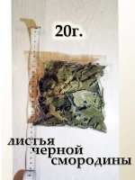 Черная смородина / листья / сухоцвет /