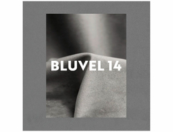 Стул SIGNAL RIP Velvet Bluvel 14 серый/черный