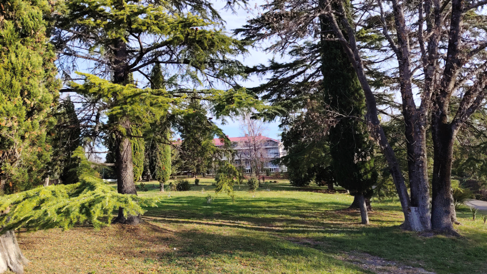 Спортивные сборы 24 января - 01 февраля 2026