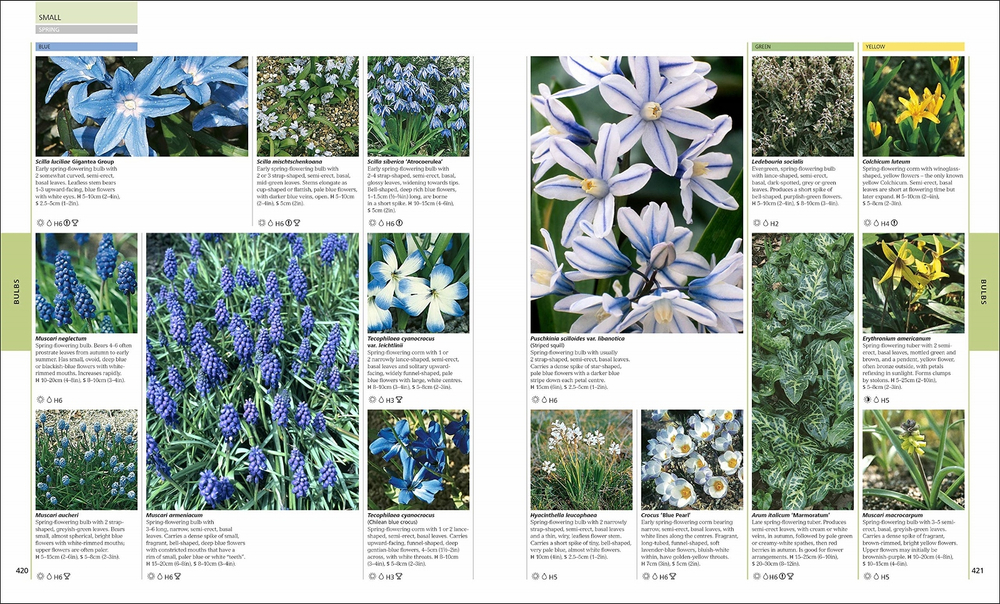 RHS Encyclopedia of plants and flowers