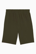 Шорты Puma Essentials 2 Color No. 1 Logo - зеленый