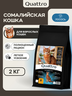 Корм сухой для взрослых кошек породы Сомалийская кошка, с лососем, 2 кг, QUATTRO