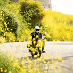 Lane Splitter / Белый