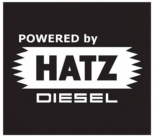 Генератор дизельный сварочный EUROPOWER EP 200 DX2E DC