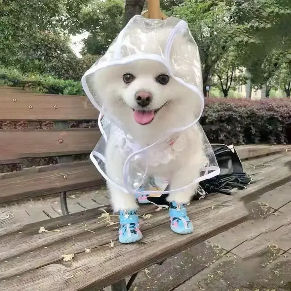 Дождевик для мелких пород собак «KOMFORT», прозрачный, р S