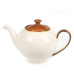 Чайник 550 мл h12,5 см Brown Shore Fusion P.L. Proff Cuisine [1]