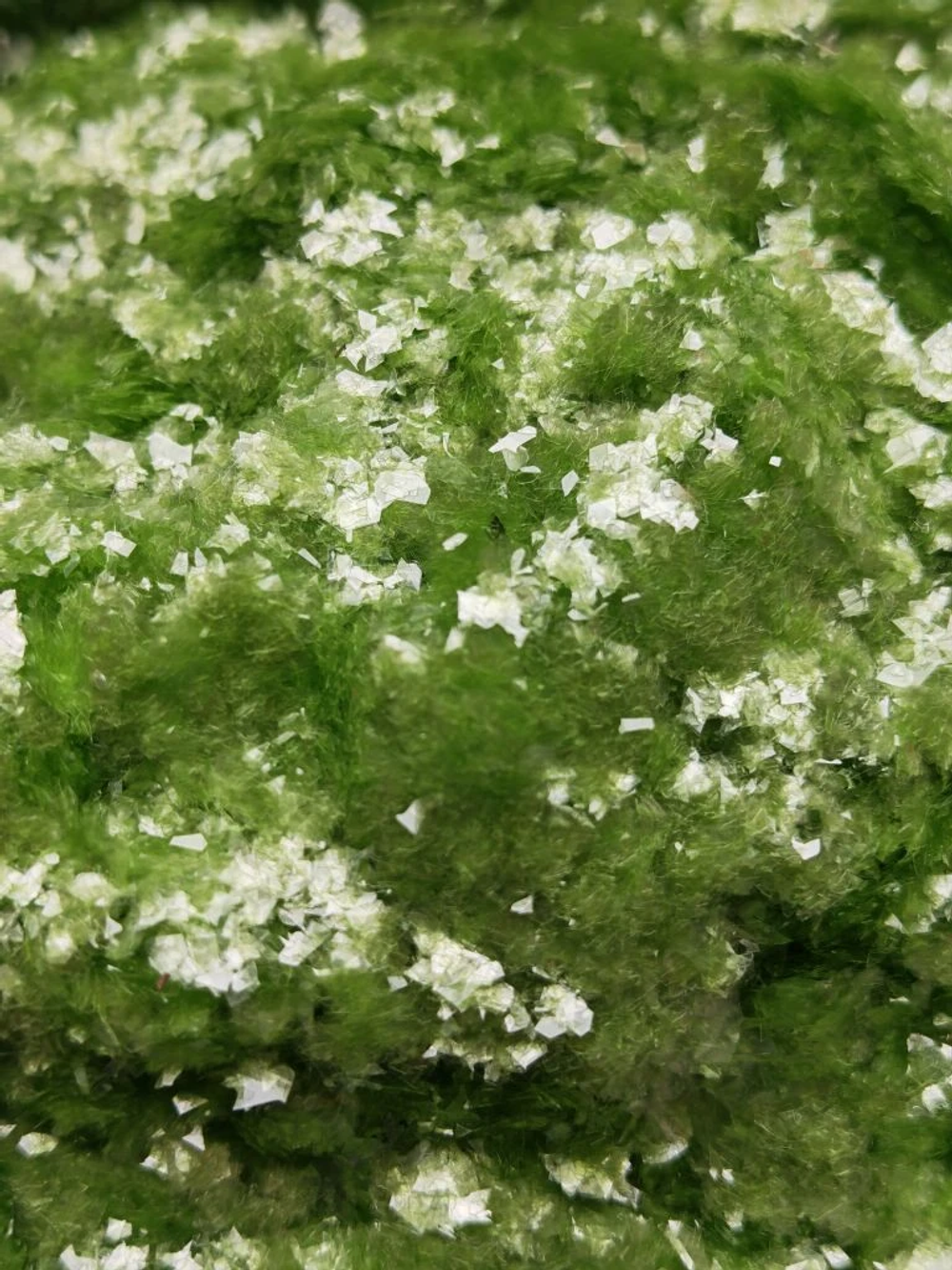 Хлопья - слюда 88306 Нежная мята прозрачный глянец - для литья изделий и творчества