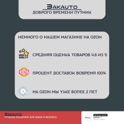 Антикоррозийная битумная мастика CHERY АНТИШУМ 1000 мл.