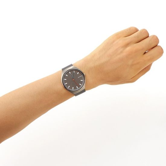 Мужские часы Skagen SKW6387