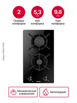 Газовая панель Hansa BHKS310300