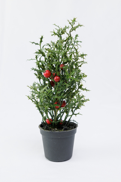 Трава и красные ягоды в кашпо 22  см