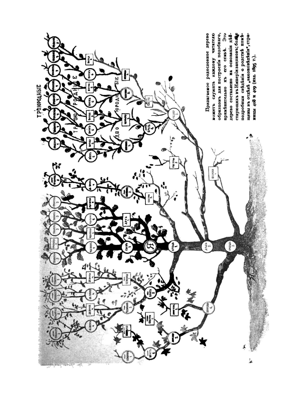 Альманах-ежегодник П.О. Яблонского. 1900. Календарь и сборник сведений полезных и необходимых каждому в ежедневной жизни | П.О. Яблонский