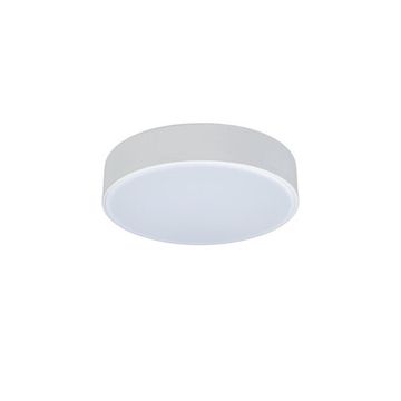 Потолочный светильник LED 12W 4000К 10002/12 White белый Axel LOFT IT